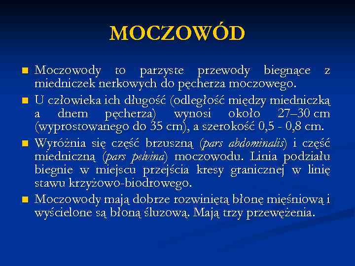 MOCZOWÓD n n Moczowody to parzyste przewody biegnące z miedniczek nerkowych do pęcherza moczowego.