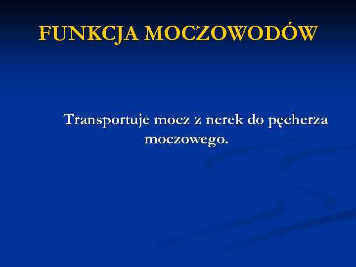 FUNKCJA MOCZOWODÓW Transportuje mocz z nerek do pęcherza moczowego. 