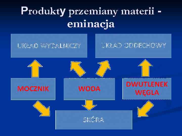 Produkty przemiany materii eminacja 