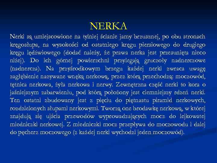 NERKA Nerki są umiejscowione na tylniej ścianie jamy brzusznej, po obu stronach kręgosłupa, na