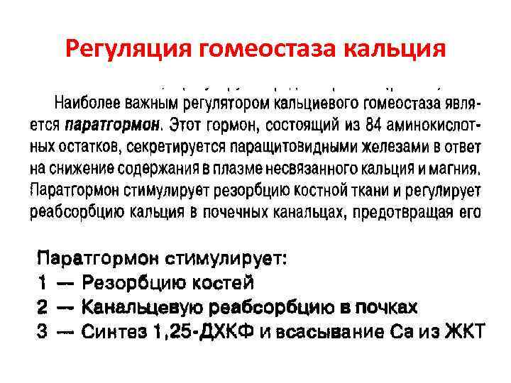 Регуляция гомеостаза кальция 