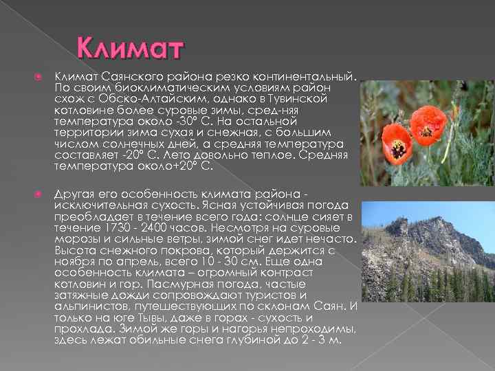 Климат Саянского района резко континентальный. По своим биоклиматическим условиям район схож с Обско Алтайским,