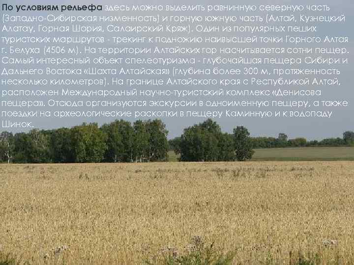 По условиям рельефа здесь можно выделить равнинную северную часть (Западно Сибирская низменность) и горную