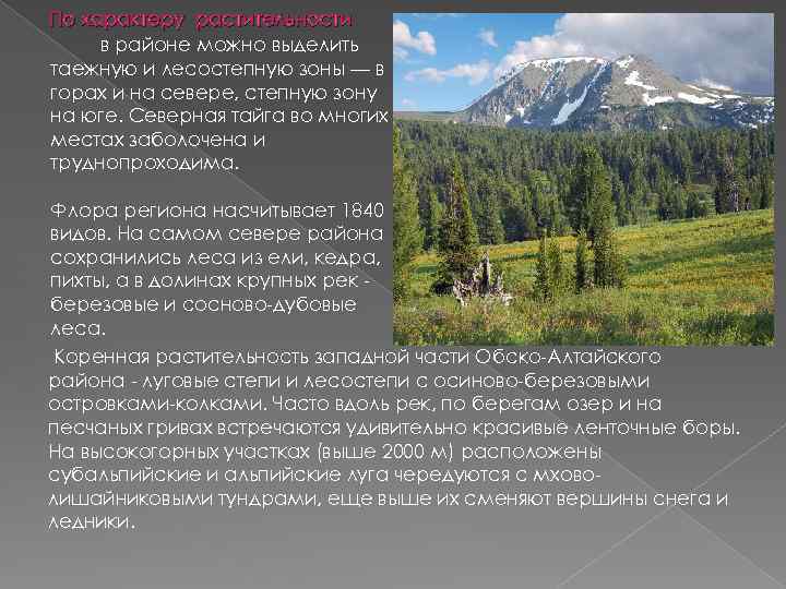 По характеру растительности в районе можно выделить таежную и лесостепную зоны — в горах