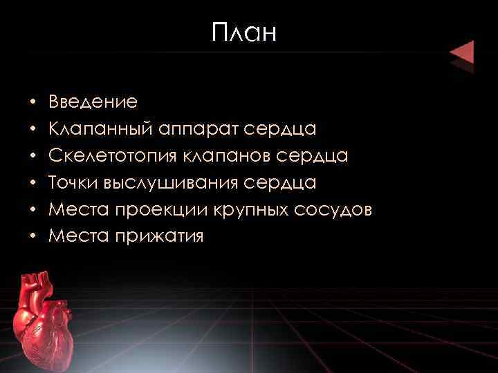 План • • • Введение Клапанный аппарат сердца Скелетотопия клапанов сердца Точки выслушивания сердца