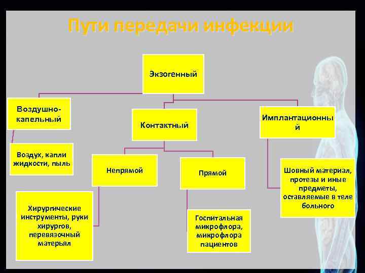 Пути передачи инфекции Экзогенный Воздушнокапельный Воздух, капли жидкости, пыль Хирургические инструменты, руки хирургов, перевязочный