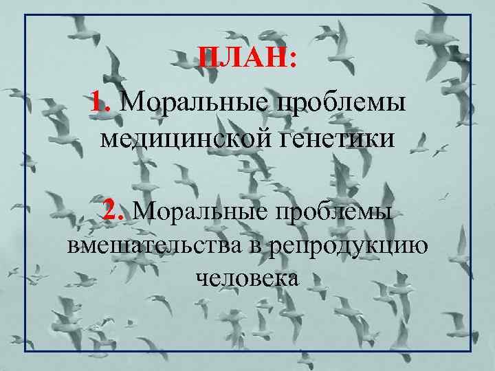 ПЛАН: 1. Моральные проблемы медицинской генетики 2. Моральные проблемы вмешательства в репродукцию человека 