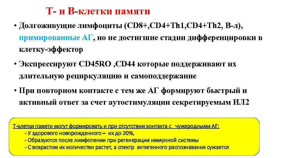 Т- и В-клетки памяти • Долгоживущие лимфоциты (CD 8+, CD 4+Th 1, CD 4+Th