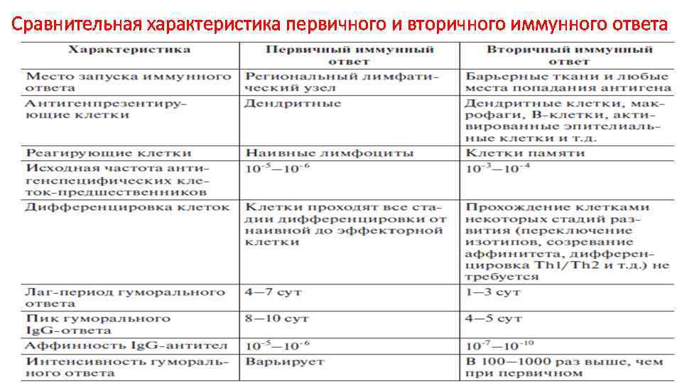 Сравнительная характеристика первичного и вторичного иммунного ответа 