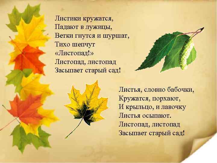 Листики кружатся, Падают в лужицы, Ветки гнутся и шуршат, Тихо шепчут «Листопад!» Листопад, листопад