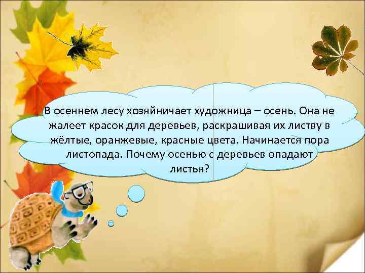 В осеннем лесу хозяйничает художница – осень. Она не жалеет красок для деревьев, раскрашивая