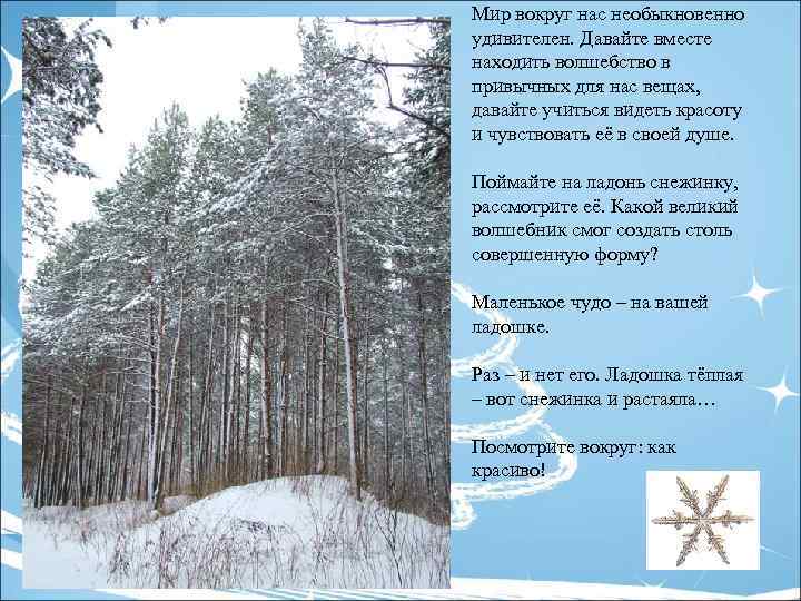 Мир вокруг нас необыкновенно удивителен. Давайте вместе находить волшебство в привычных для нас вещах,