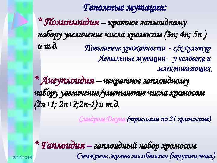 Геномные мутации: * Полиплоидия – кратное гаплоидному набору увеличение числа хромосом (3 n; 4