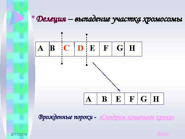 * Делеция – выпадение участка хромосомы А В С D E F G H