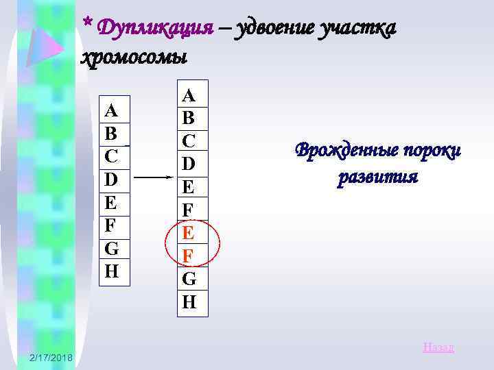 * Дупликация – удвоение участка хромосомы А В С D E F G H