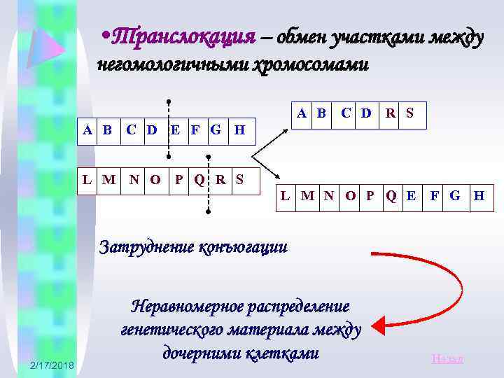  • Транслокация – обмен участками между негомологичными хромосомами А В С D E