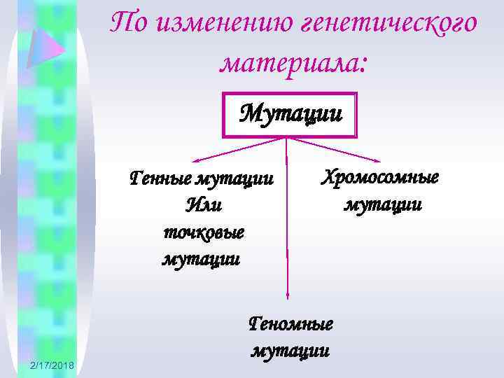 По изменению генетического материала: Мутации Генные мутации Или точковые мутации 2/17/2018 Хромосомные мутации Геномные