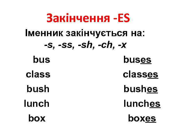 Закінчення -ES Іменник закінчується на: -s, -sh, -ch, -x bus class bush lunch buses
