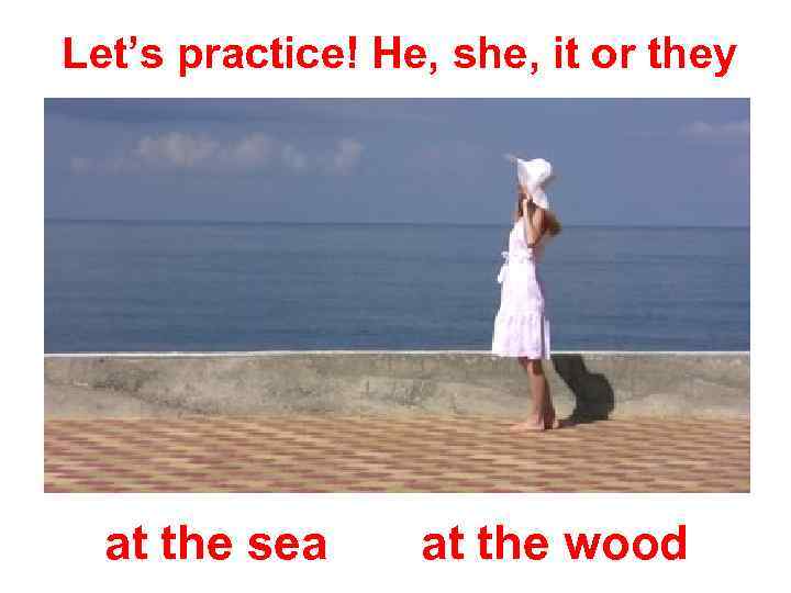 Let’s practice! He, she, it or they at the sea at the wood 