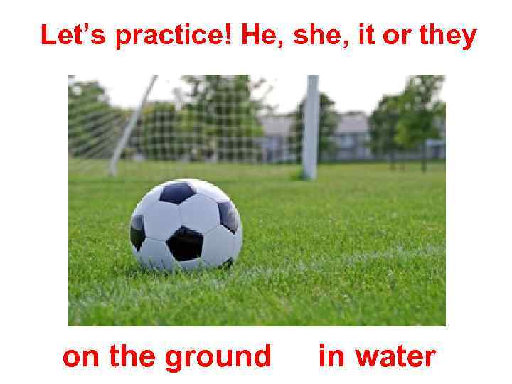 Let’s practice! He, she, it or they on the ground in water 