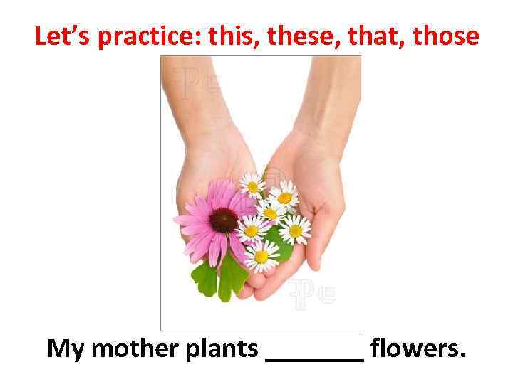 Let’s practice: this, these, that, those My mother plants _______ flowers. 