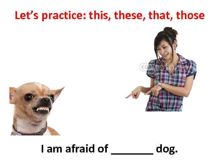 Let’s practice: this, these, that, those I am afraid of _______ dog. 