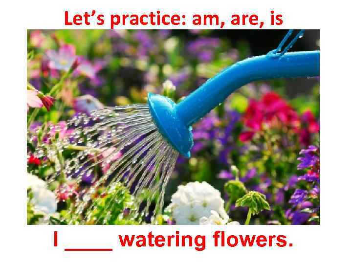 Let’s practice: am, are, is I ____ watering flowers. 
