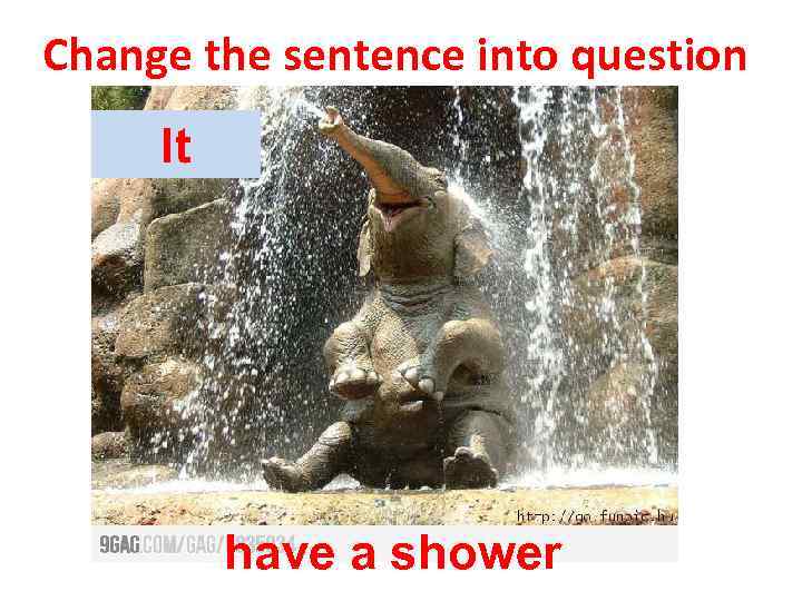 Change the sentence into question It have a shower 