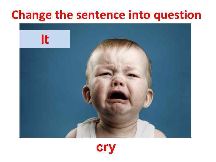 Change the sentence into question It cry 