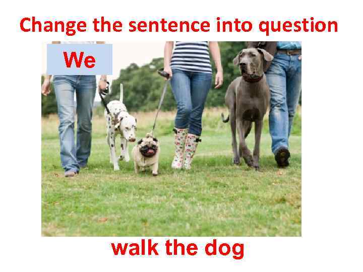 Change the sentence into question We walk the dog 
