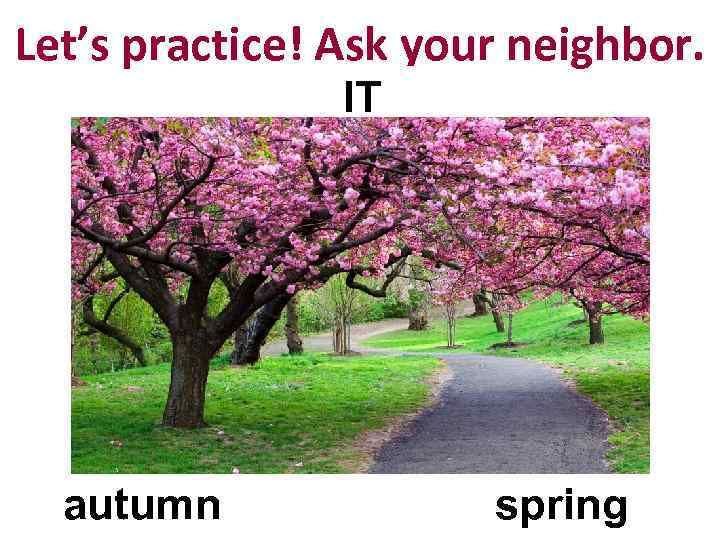 Let’s practice! Ask your neighbor. IT autumn spring 