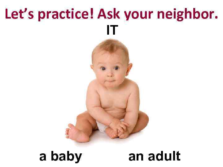 Let’s practice! Ask your neighbor. IT a baby an adult 