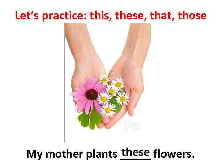 Let’s practice: this, these, that, those these My mother plants _____ flowers. 