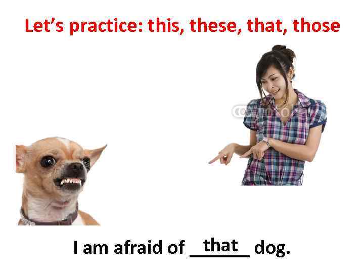 Let’s practice: this, these, that, those that I am afraid of ______ dog. 