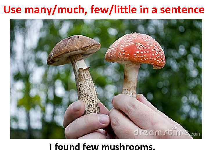 Use many/much, few/little in a sentence I found few mushrooms. 