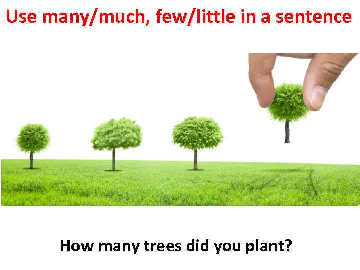 Use many/much, few/little in a sentence How many trees did you plant? 