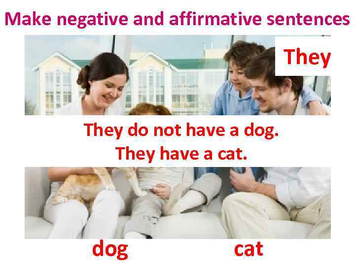 Make negative and affirmative sentences They do not have a dog. They have a