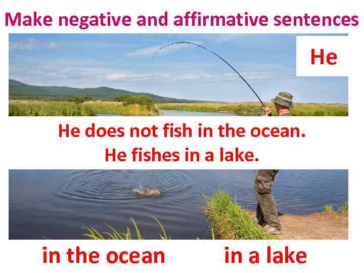 Make negative and affirmative sentences He He does not fish in the ocean. He