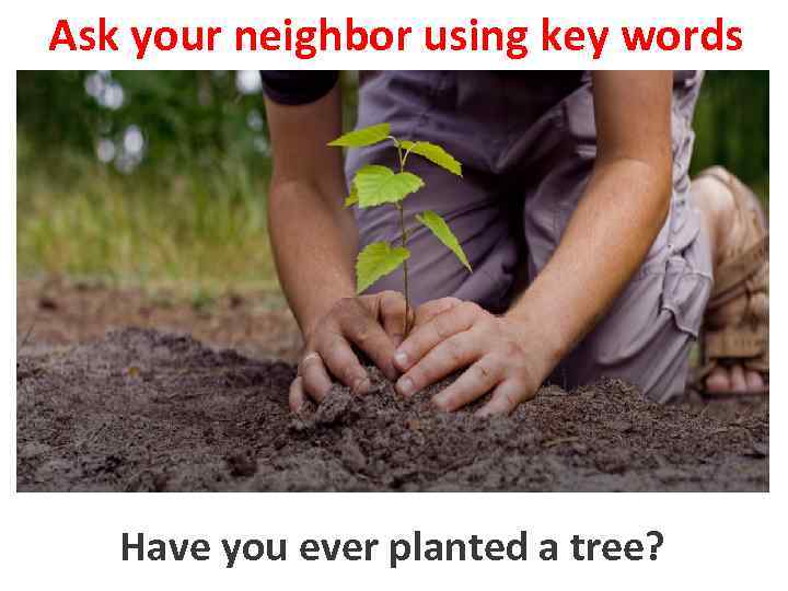 Ask your neighbor using key words Have you ever planted a tree? to plant