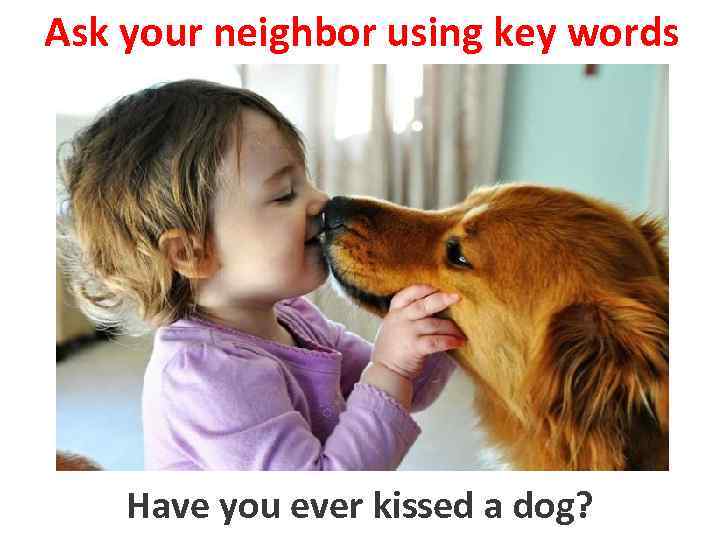 Ask your neighbor using key words to kiss a dog Have you ever kissed