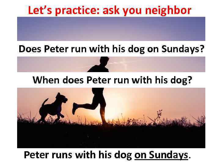 Let’s practice: ask you neighbor Does Peter run with his dog on Sundays? When