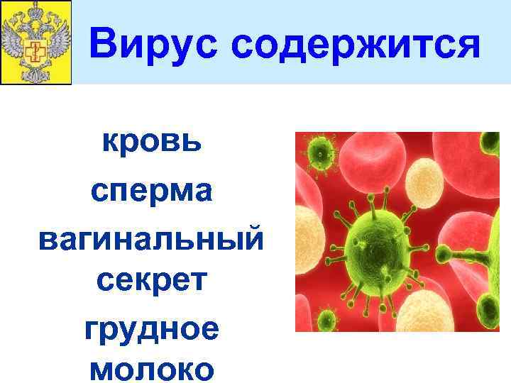 Вирус содержится кровь сперма вагинальный секрет грудное молоко 