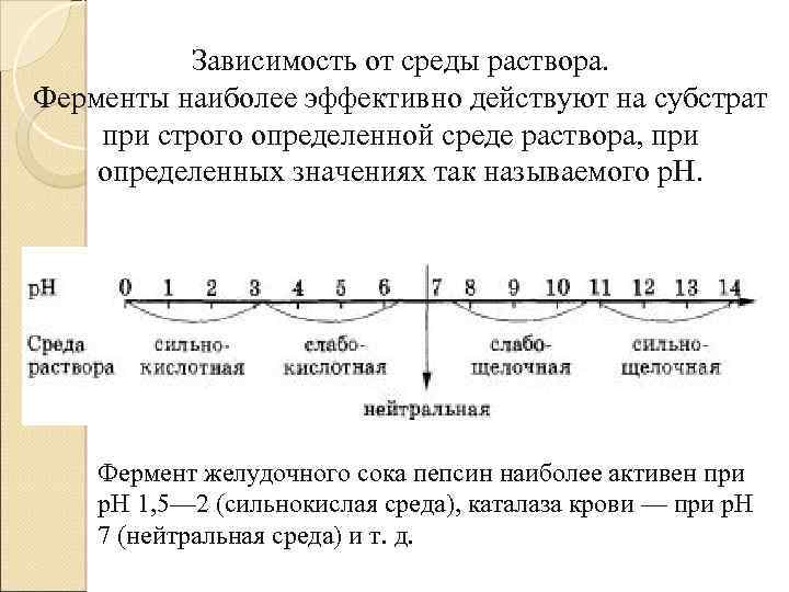 Зависимость от среды раствора. Ферменты наиболее эффективно действуют на субстрат при строго определенной среде