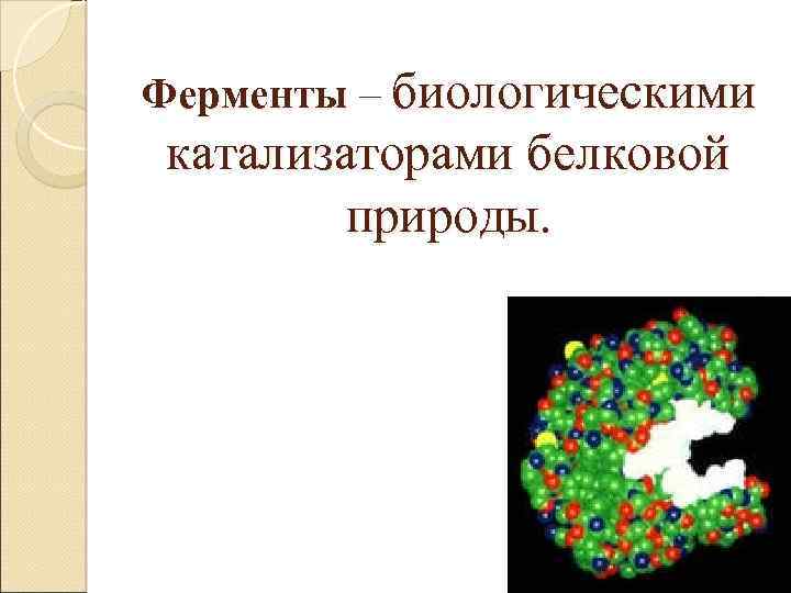 Ферменты – биологическими катализаторами белковой природы. 