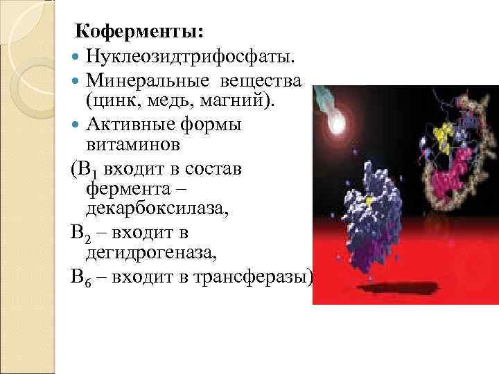  Коферменты: Нуклеозидтрифосфаты. Минеральные вещества (цинк, медь, магний). Активные формы витаминов (В 1 входит