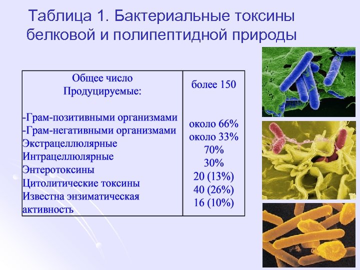 Общая характеристика бактерий 7 класс биология презентация