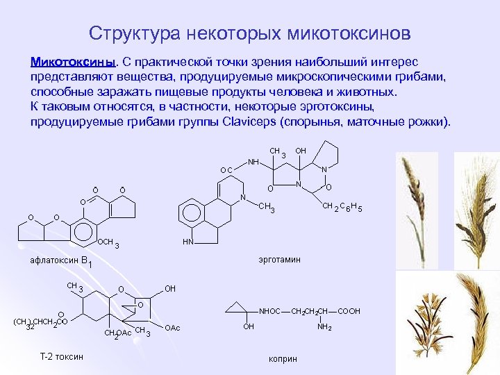 Структура некоторых микотоксинов Микотоксины. С практической точки зрения наибольший интерес представляют вещества, продуцируемые микроскопическими