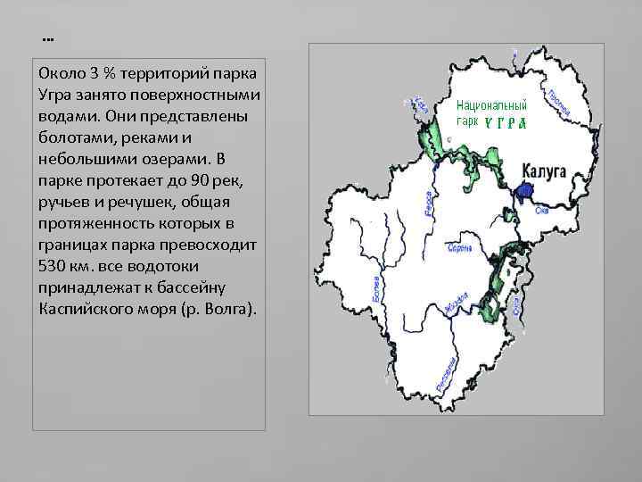 … Около 3 % территорий парка Угра занято поверхностными водами. Они представлены болотами, реками