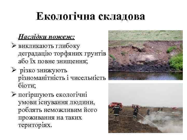 Екологічна складова Наслідки пожеж: Ø викликають глибоку деградацію торфяних грунтів або їх повне знищення;