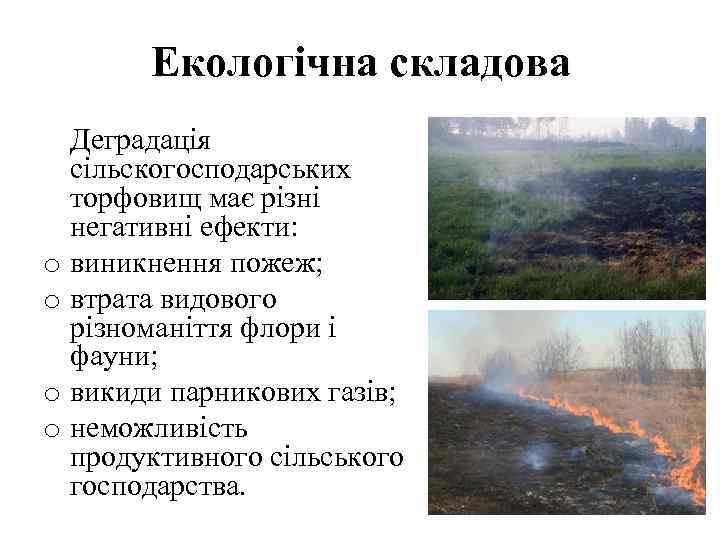 Екологічна складова Деградація сільскогосподарських торфовищ має різні негативні ефекти: o виникнення пожеж; o втрата